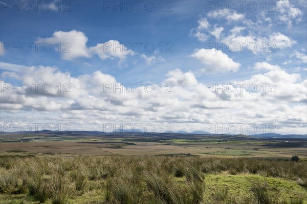 Grass landscape on the Isle of Islay