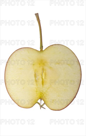 Apple slice with stalk