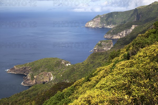 View from Miradouro sobre Ponta Delgada das Flores to the northeast coast