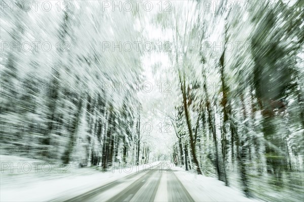Snow-covered road in snow-covered forest