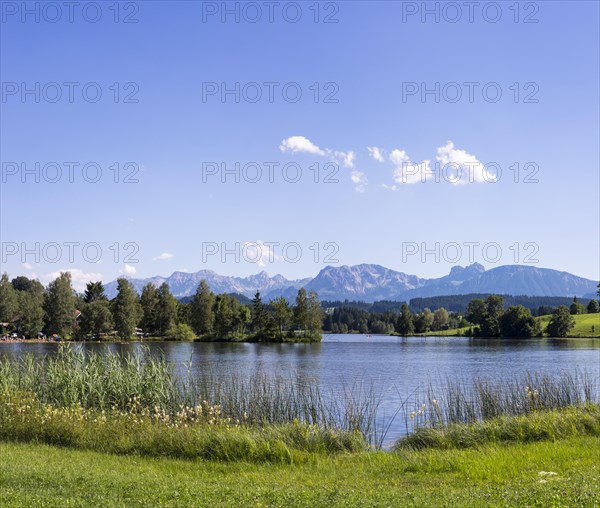 Schwaltenweiher