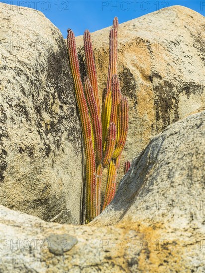 National park Ayc Rock