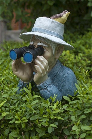 Figure with bird on hat and binoculars looking over a hedge