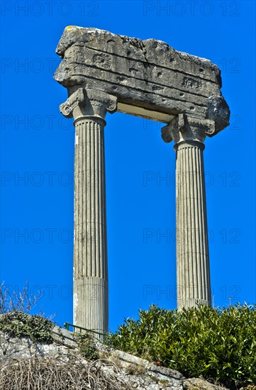 Corinthian columns from Noviodunum Helvetiorum