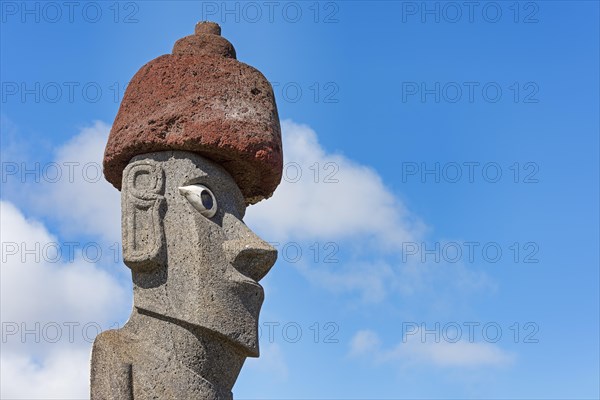 Moai in the Ahu Tahai Complex