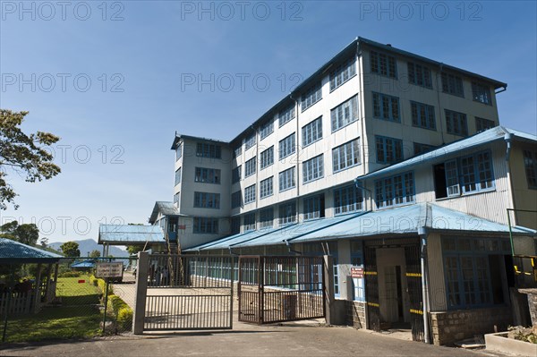 Blue Field Tea Factory Building