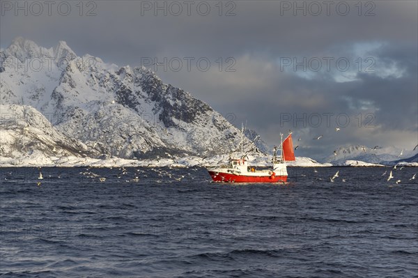 Fishing boat in front of snow-covered mountains