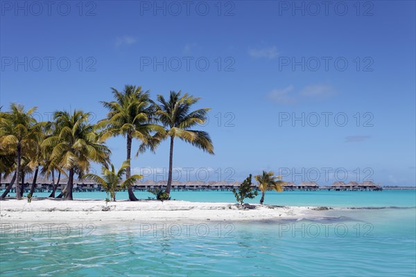 Small peninsula with coconut palms in the turquoise sea