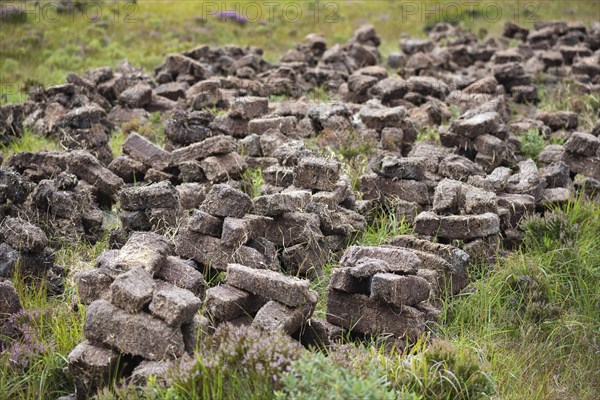 Engraved and stacked peat are drying on a heath