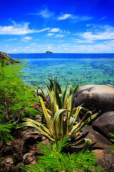 Sainte Anne Marine National Park