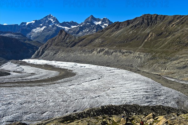 Gorner Glacier