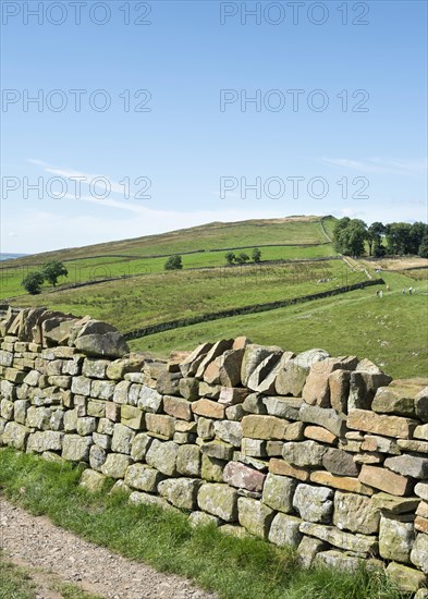 Hadrian's Wall at Haltwhistle
