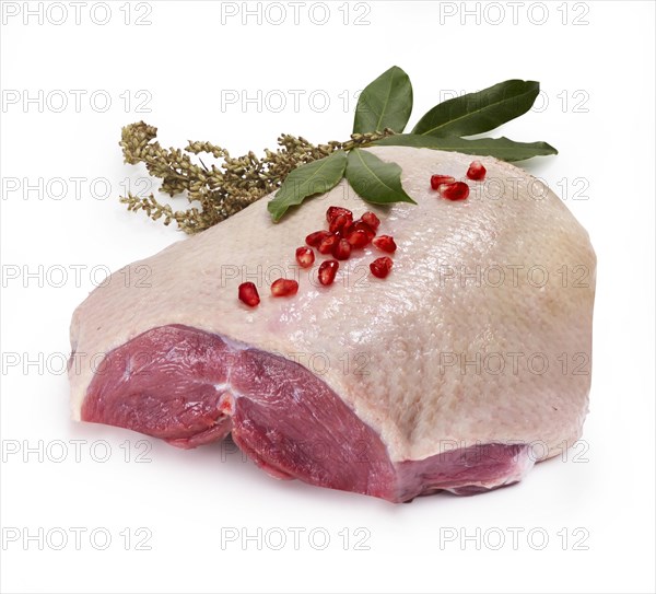 Raw goose breast