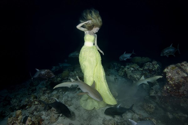 Beautiful woman in yellow dress posing underwater with Tawny nurse sharks