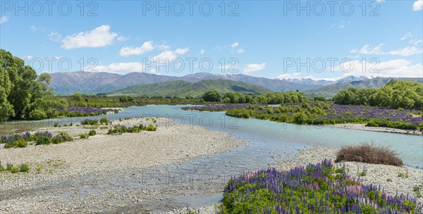 River bed of the Ahuriri River