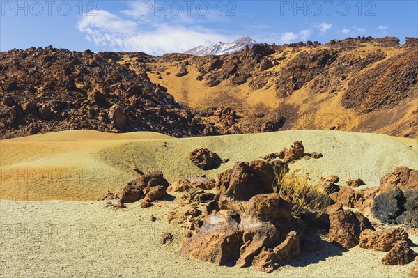 Pumice stone field