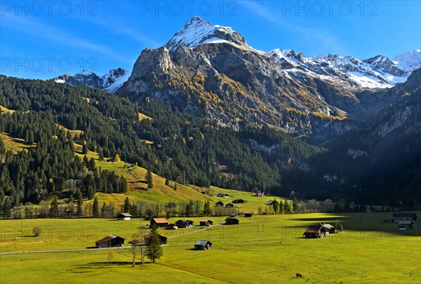 Spitzhorn