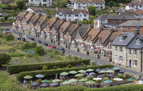 Beer garden and terraced houses