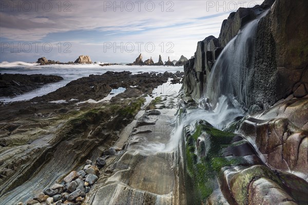 Rocky coast