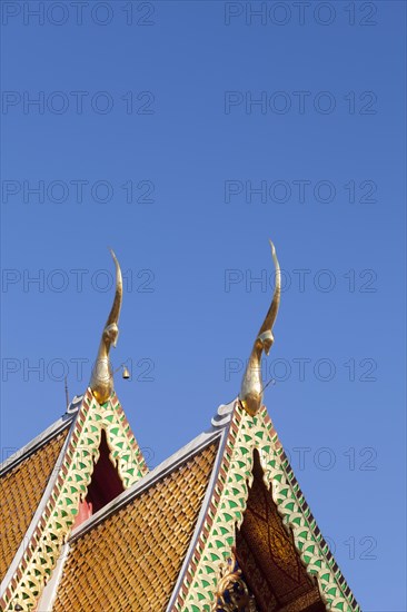 Detail of the roof