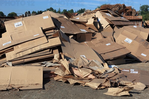Recycling plant