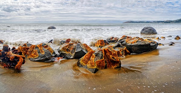 Moeraki Boulders