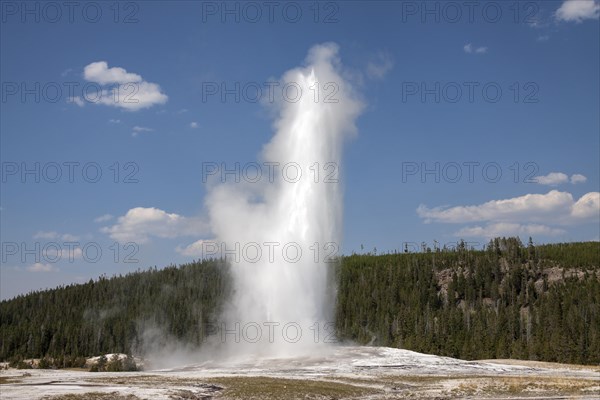 Old Faithful Geyser