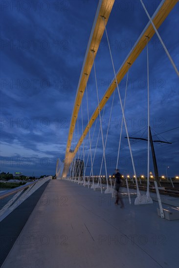 Beatus-Rhenanus bridge