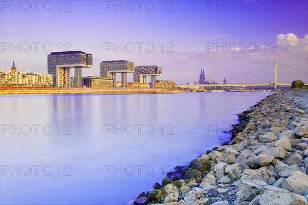 View over the Rhine to Rheinauhafen