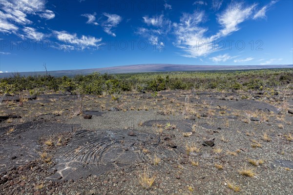 Pahoehoe lava from Kilauea volcano eruptions