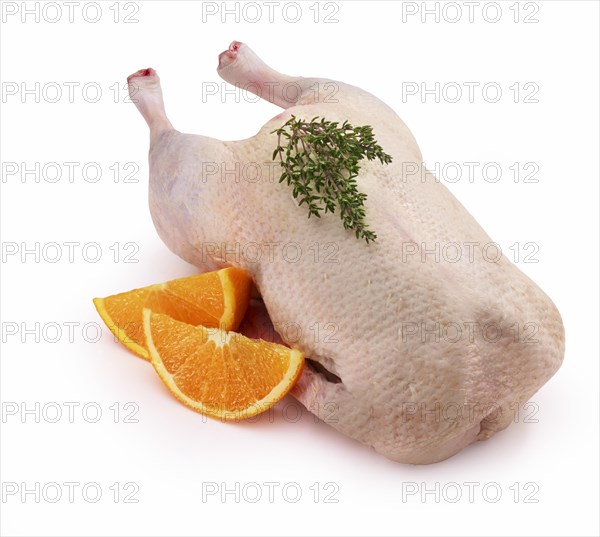 Raw duck