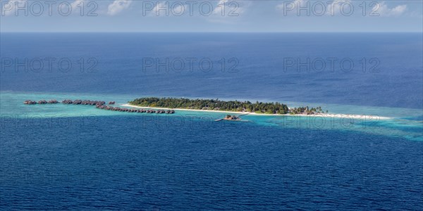 Tropical island with palm trees