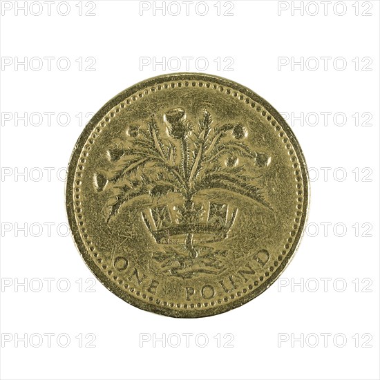 British one pound coin