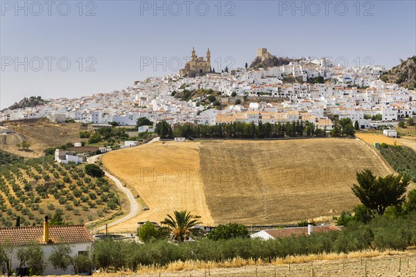 White village with church of La Encarnacion