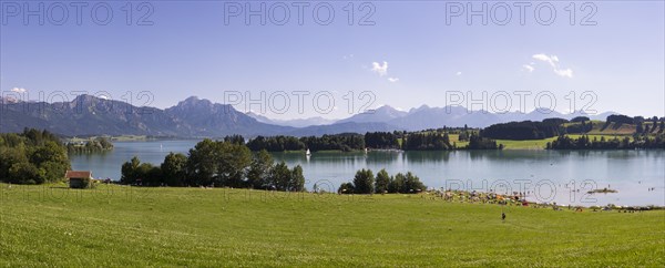 Forggensee