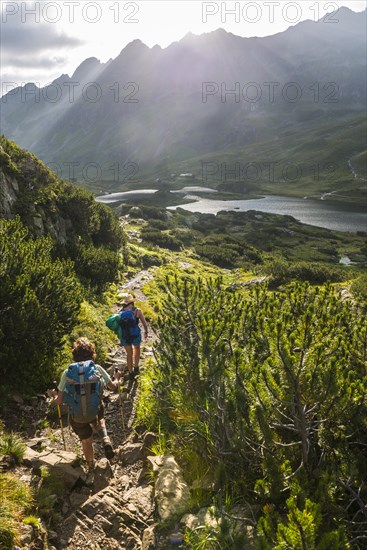 Two hikers on a trail in the morning