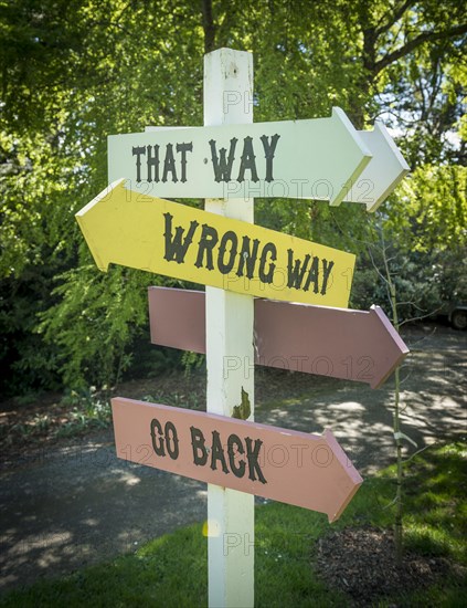 Curios sign post