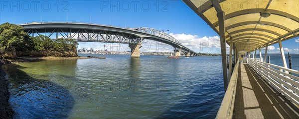 Harbor Bridge with skyline