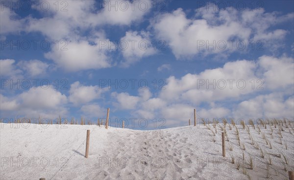 Dune from mussel sand