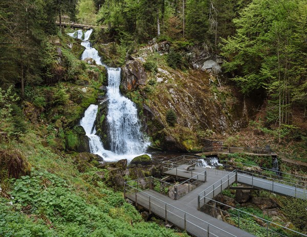 Triberg Waterfalls