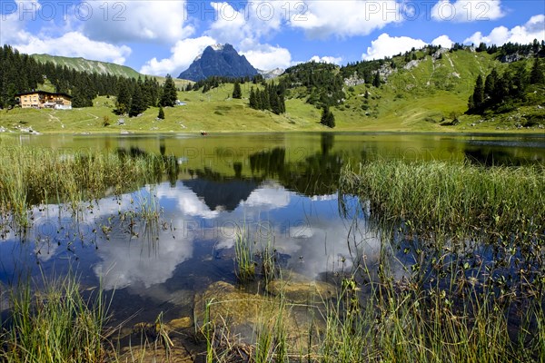 View from Korbersee to Widderstein