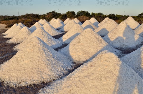 Raised salt cones