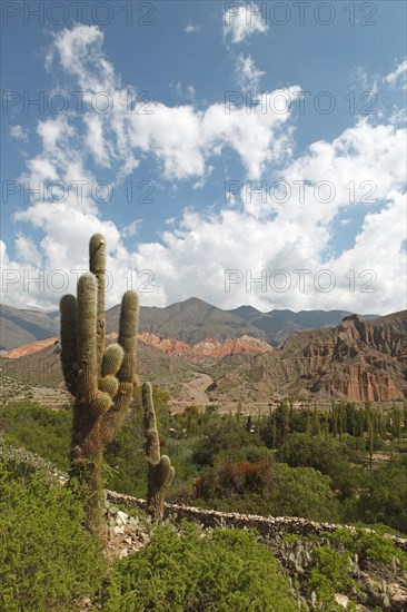 Humahuaca Canyon