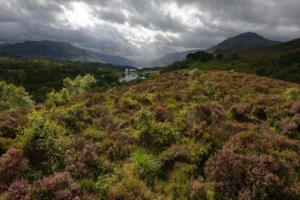 Lake Loch Affric