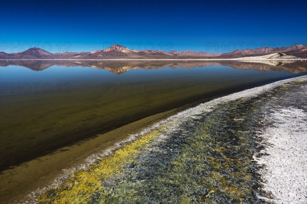 Salt Lake Salar de Surire