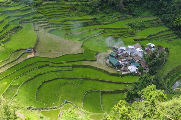 Bangaan in the rice terraces of Banaue