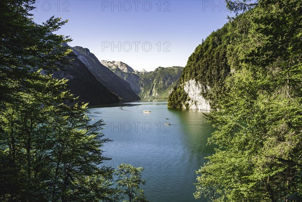 View of the Konigssee