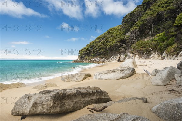 Rocks on sandy beach with tropical vegetation