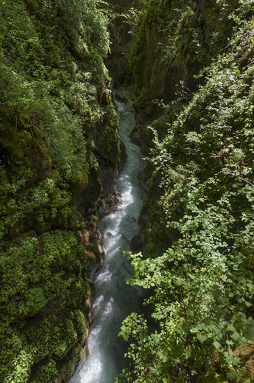 Marxenklamm in the enchanted forest