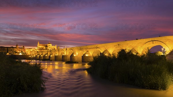 Illuminated Puente Romano